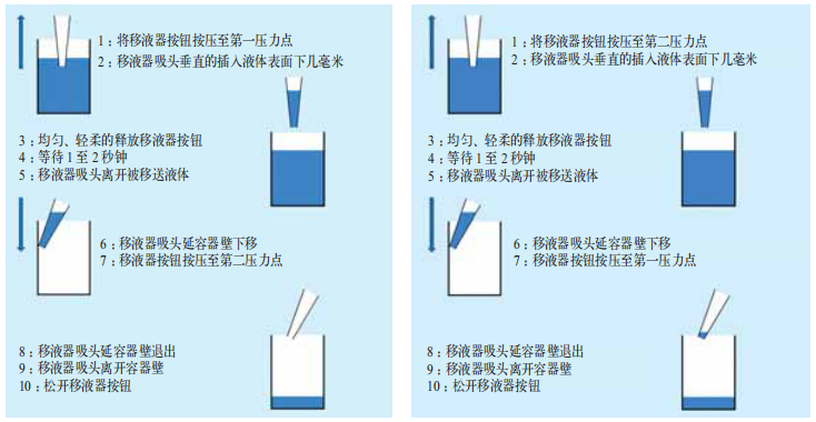 图3 不同的移液技术,正向移液(左)和反向移液(右)