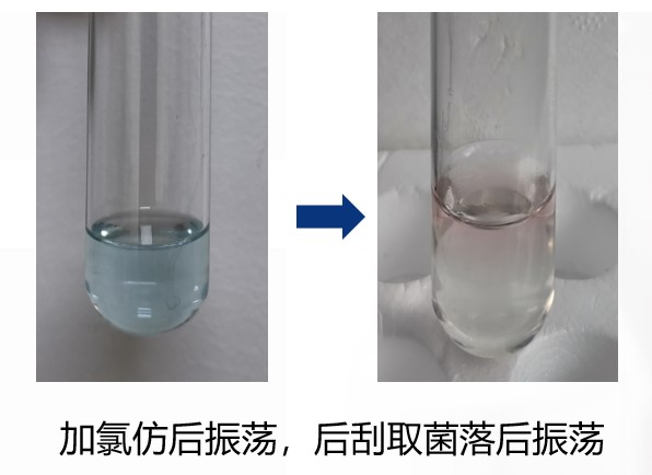 一次性卫生用品之绿脓杆菌检测