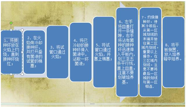 点击打开原图