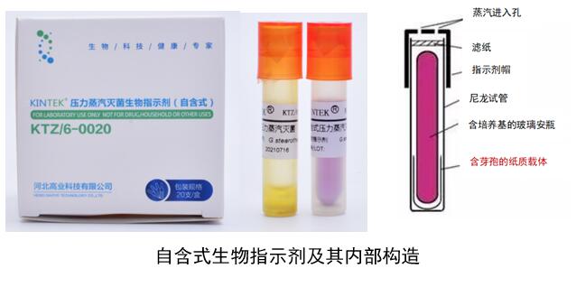 灭菌效果验证之生物指示剂