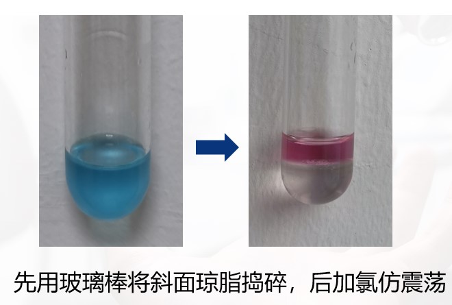 一次性卫生用品之绿脓杆菌检测
